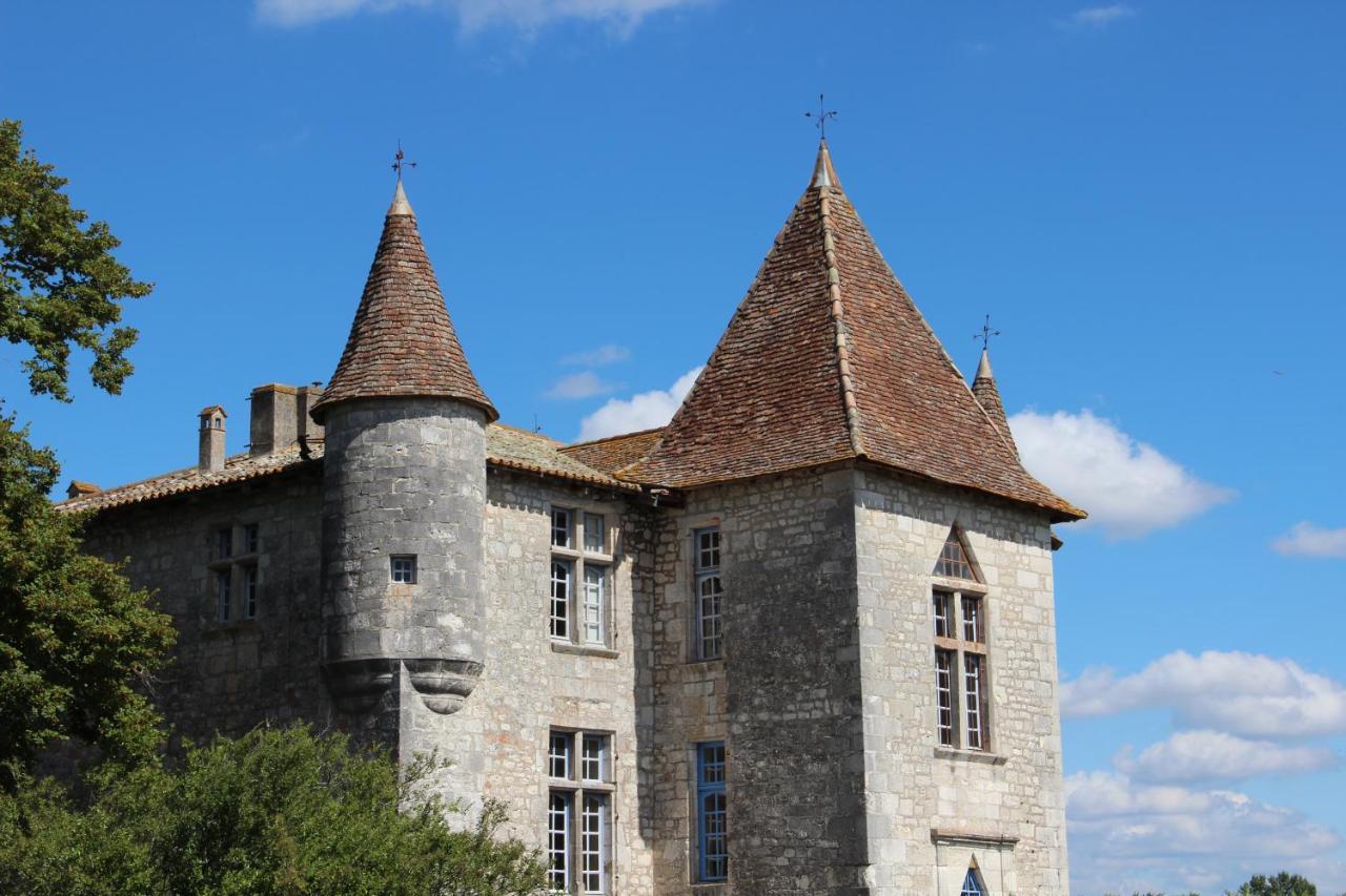 Gites Du Chateau De Panisseau Thénac Eksteriør billede