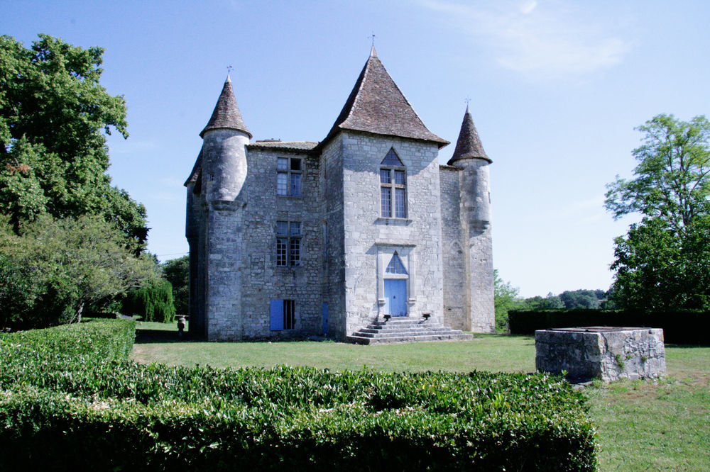 Gites Du Chateau De Panisseau Thénac Eksteriør billede